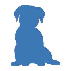 Hunde, Shampoo, geruch, gestank, anti-geruch, anti-bakteriell, reinigen, gründlich, sauber, duft, geruch